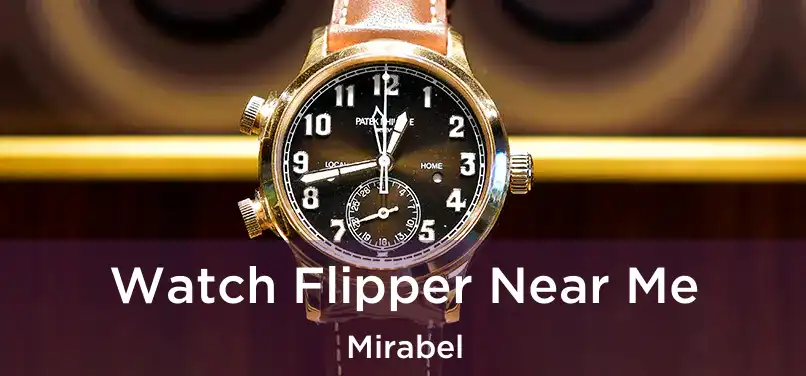  Watch Flipper Near Me Mirabel